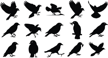 Obraz premium Collection of black bird silhouettes in various poses