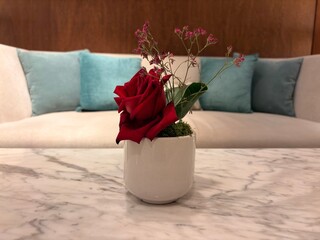 red roses in a vase