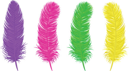 Colorful feather illustration set with purple, pink, green, and yellow designs, detailed line art, vibrant vector drawing for nature, art, design, and education themes © Joynal
