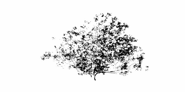 An abstract grunge background featuring a black ink splat and dark nature pattern with a textured tree illustration and paint spray border