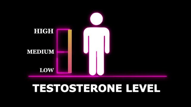 Testosterone Level Indicator with Human Silhouette. Glowing neon animation and black background .good level on high measure scale. Instrument scale with silhouette of a neon man.4k video motion