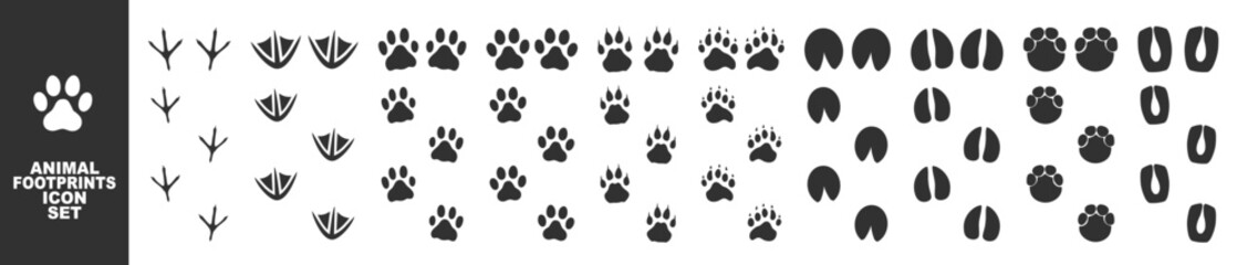 Set of different animals and birds footprints and traces isolated on transparent. Cat, lion, tiger, bear, dog, cow, pig, chicken, elephant, horse etc © Usama Zahoor