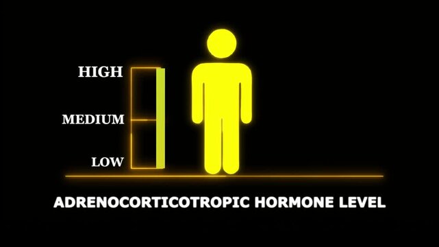 Adrenocorticotropic Hormone Level Indicator with Human Silhouette. Glowing neon animation and black background .good level on high measure scale. Instrument scale with silhouette of a neon man.4k