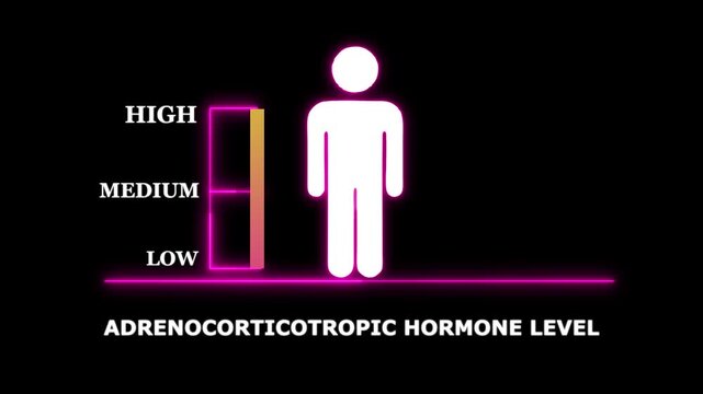 Adrenocorticotropic Hormone Level Indicator with Human Silhouette. Glowing neon animation and black background .good level on high measure scale. Instrument scale with silhouette of a neon man.4k