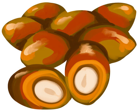 Palm Kernel Oil
