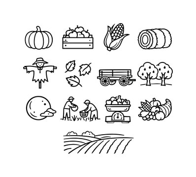 Autumn harvest. Line outline icon set of Autumn harvest: pumpkin, apple harvest crate, corn