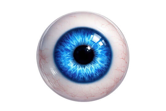 Realistic human blue eyeball on transparent background with detailed iris and pupil for vision and optical concepts