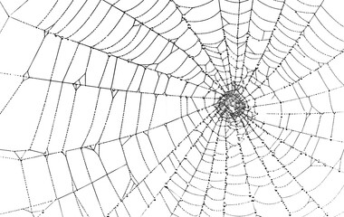 Obraz premium Solid black background with copy space