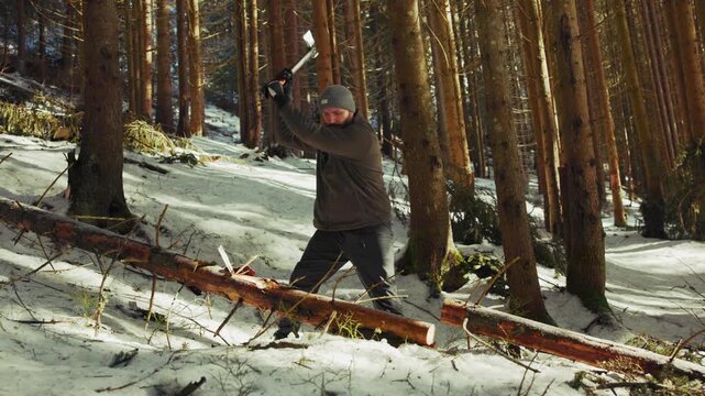 Strong lumberjack cutting wood with axe in snowy forest