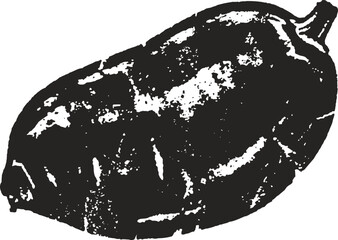 Fototapeta premium Black cacao bean graphic illustration with textured shading in vintage engraving