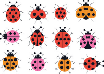 Cute ladybug collection vector set, colorful cartoon beetles illustration, flat design insects clipart isolated on white background © LITON