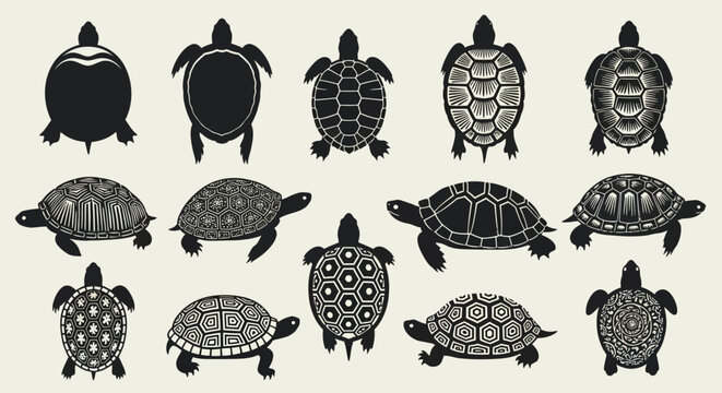 Fifteen different black and white turtle and tortoise silhouettes with various shell patterns, top view, isolated on light beige background