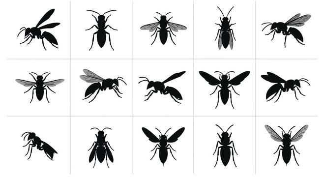 Wasp and bee black silhouette icon collection. Includes various flying and standing insect poses. Created in minimalist flat style with a monochrome black and white palette