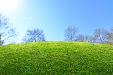 Sunny green hill under clear blue sky in spring park
