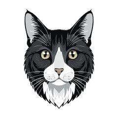 Obraz premium A cute black and white cartoon cat vector illustration featuring a funny domestic kitten with expressive eyes and a long tail in a clean feline art design