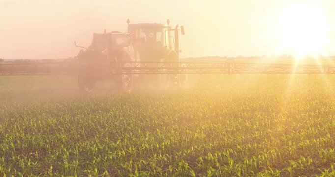 Crop sprayer working on a corn field at sunset, slow motion. Spring day landscape, rural scene. Spraying to protect corn from weeds to the increase crop yield. 
