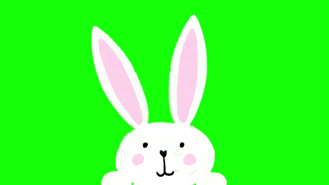 Cute Easter Bunny Hand-Drawn Illustration Cartoon Animation Hopping on Screen on Chroma Key Greenscreen Background - 4K Horizontal Seamless Loop Video