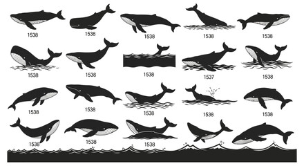 Whale and ocean waves vector icon collection. Includes various whale species, swimming, breaching, and diving poses, and ocean wave elements. Created in flat black and white style with detailed
