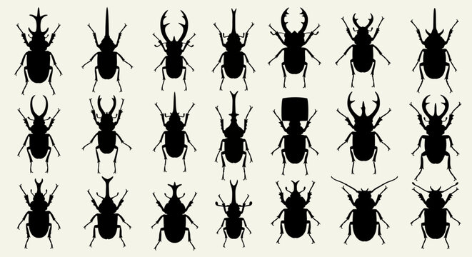 Beetle insect silhouette icon collection. Includes stag beetle, rhinoceros beetle, longhorn beetle, scarab, and various other insect species symbols. Created in solid black vector style with a
