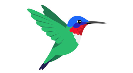 Naklejka premium Hummingbird Vector Illustration, Flat Design, Nature, Wildlife, Isolated Image for Design