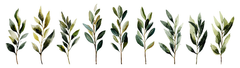 Botanical illustration with eucalyptus branches, fern foliage, and delicate twig elements. Perfect nature-inspired frame for wedding invitations and decorative projects. Vector illustration. © Narin