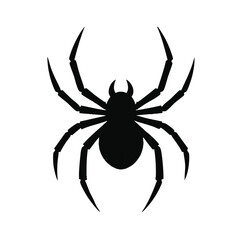Black Spider Silhouette Isolated on White Background