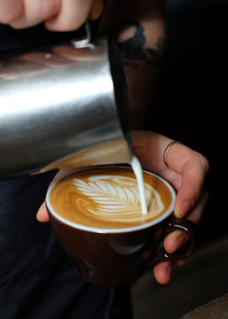 Barista pouring steamed milk into coffee to create rosetta latte art. Cafe menu, coffee shop branding, and specialty coffee industry content.