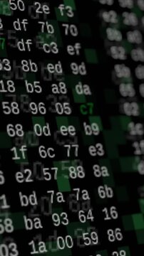 close up view of hexadecimal code scrolling on screen, concept of hacking, internet, big data, software developing, vertical video (3d render)