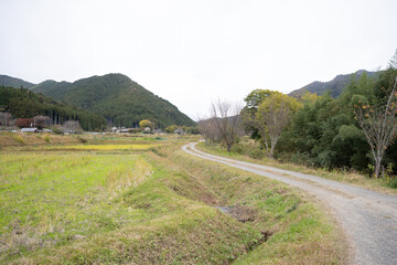 日本のノスタルジックな田舎風景