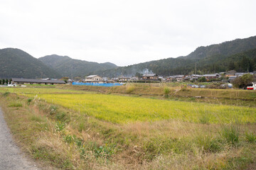 日本のノスタルジックな田舎風景