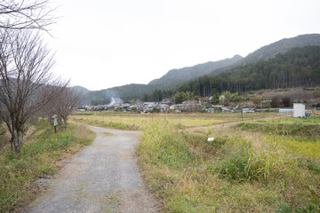 日本のノスタルジックな田舎風景