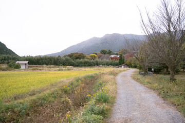日本のノスタルジックな田舎風景