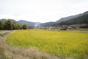 日本のノスタルジックな田舎風景