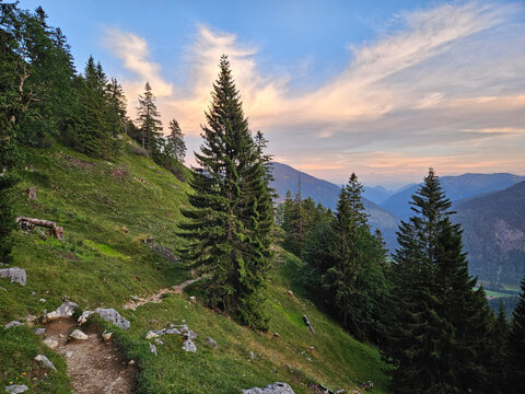 Alpine landscape with conifer forest and mountain trail at Wendelstein