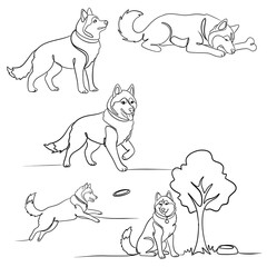 Hand-drawn husky dog line art set with cute playful poses in modern minimal black and white outline style for coloring pages, prints, and digital products.