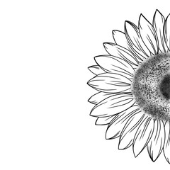 Detailed sketch of a sunflower flower. beautiful idea for a flower tattoo. sunflower design for invitation. Freehand sketching illustration. 
