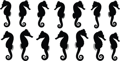 Seahorse silhouette collection featuring detailed marine animal shapes in black vector style, ocean wildlife icons isolated on white background © KagenChandro