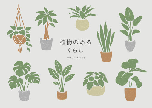 ナチュラルインテリア向け観葉植物イラストセット｜植物のある暮らし・北欧風ボタニカル素材