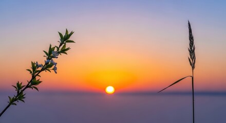 Obraz premium Sunset sky with a flowering branch and a blade of grass silhouette. Beautiful nature background for calendar or greeting card. Atmospheric view.
