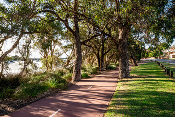 Fototapeta premium Tree-canopied red shared path along Canning River with river views in Rossmoyne suburb, Perth, Australia, 16 March 2021
