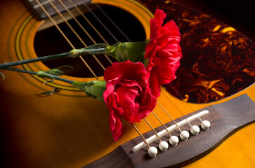 Closeup of Beautiful Red Carnation Flower on Top of Brown Accoustic Guitar