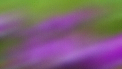 Abstract grainy gradient background with diagonal purple spots on green.