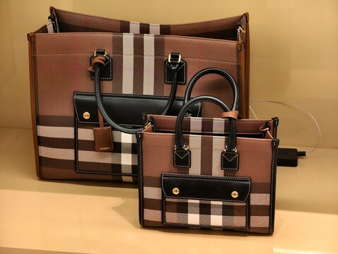 Paris,France-Oct.5th 2025: Burberry check pattern tote bags
