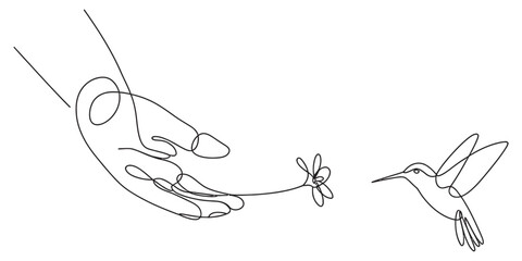Continuous line drawing of a human hand holding a flower for a hovering hummingbird Vector, illustration © DCB Line Stocker