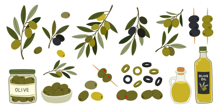 Mediterranean olive set with leafy branches, glass bottle of extra virgin oil, jarred fruits, sliced rounds for salad, and cocktail picks. Vector fresh organic food collection in flat style