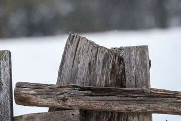 Fragment starego drewnianego ogrodzenia zimą na tle padającego śniegu. Zwietrzały fragment drewnianego ogrodzenia o szorstkiej fakturze i widocznych słojach. Pionowe listwy i poziome belki. © Grzegorz