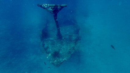 Top view of a sunken shipwreck resting on the sandy seabed. The ship&rsquo;s mast rises from the hull, covered in marine growth and surrounded by blue ocean water.