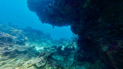 Underwater coral reef landscape with rocky overhang in clear blue sea. Tropical marine scene with coral formations and sandy ocean floor in natural light.