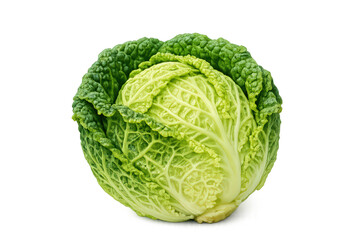 Fototapeta premium Fresh organic savoy cabbage, green leafy vegetable with textured ruffled leaves, healthy plant food for cooking