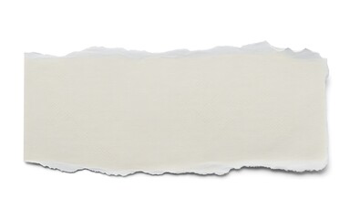 Obraz premium Single Torn Paper Strip on White Background